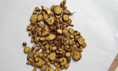 中药防风的作用与禁忌专区_防风的功效与作用和主治专区_中药防风的作用网